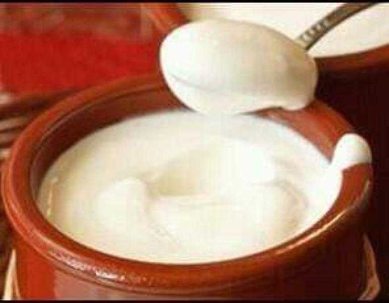 شاهد .. وصفة سحرية لراحة الجهاز الهضمي واكتساب الطاقة «فيديو»