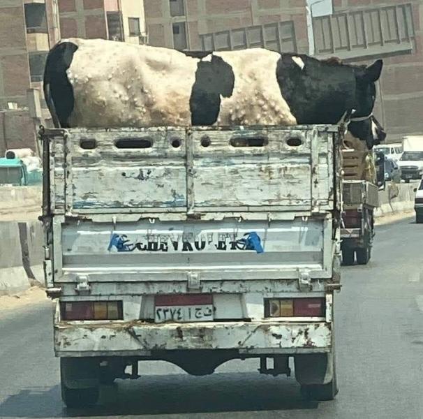 مصر 2030