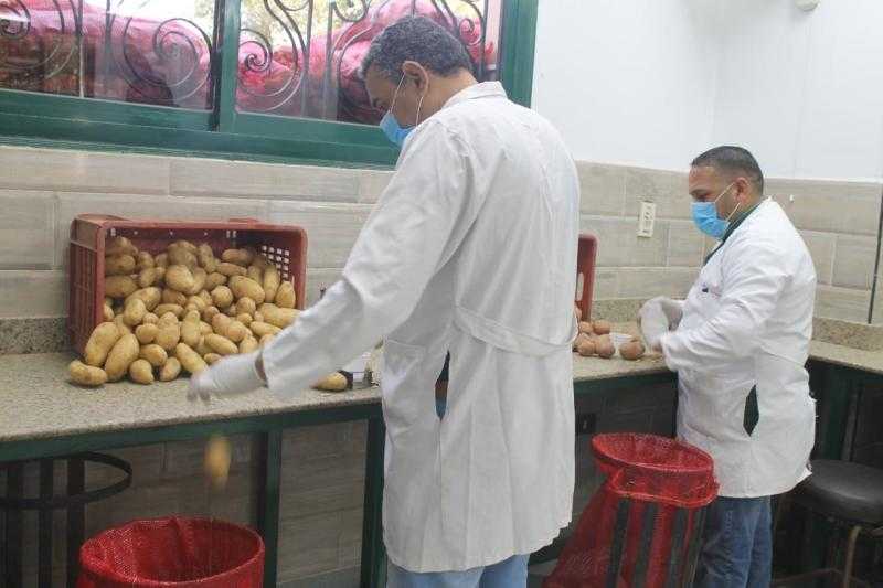 الزراعة: فحص 931 ألف طن من بطاطس المائدة خلال الموسم التصديري السابق