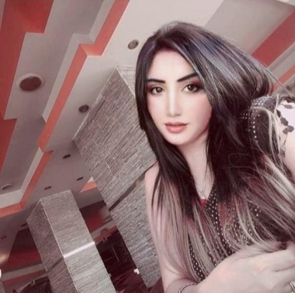 الفنانة  دينا المصري
