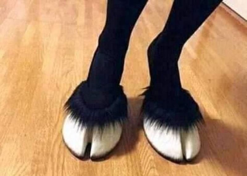 رجل معزة
