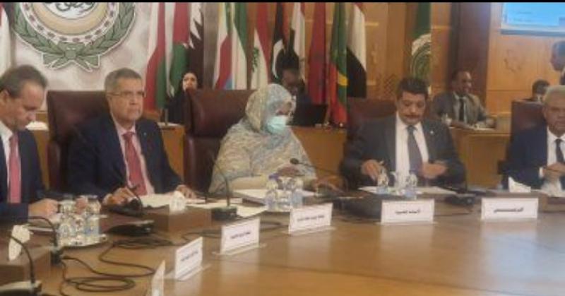 «أبو الغيط» يشيد بالتعاون العربي في الاستعداد والاستجابة للطوارئ الإشعاعية والنووية