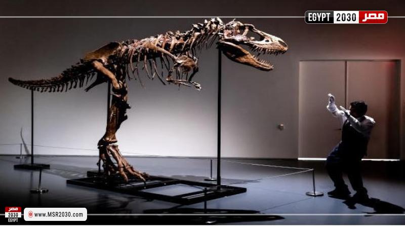هيكل ديناصور عملاق