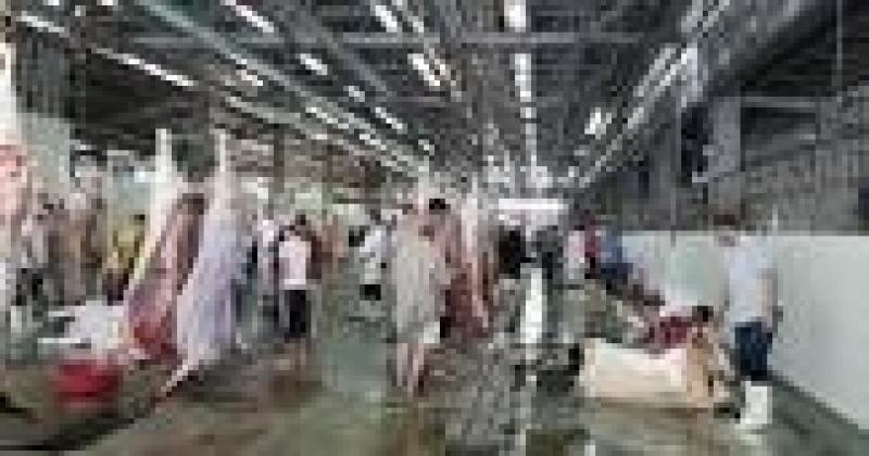 الخدمة مجانا.. فتح جميع المجازر بالقاهرة خلال عيد الأضحى - فيديو