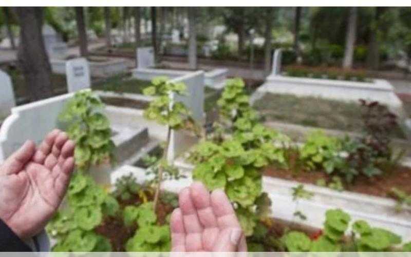 الإفتاء: زيارة المقابر  فى أول يوم العيد ليست حراما والأفضل تركها