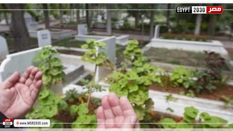 زيارة المقابر 