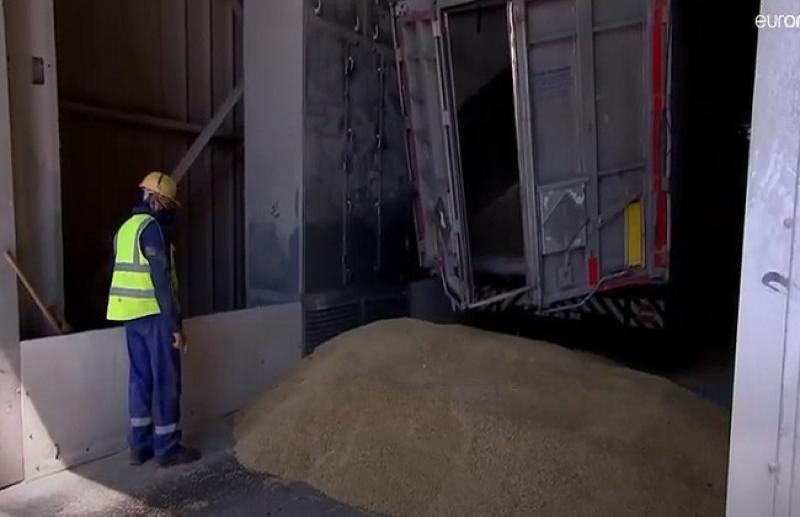 القلق يسيطر على مزراعي القمح بأوكرانيا مع بدء موسم الحصاد.. «فيديو»