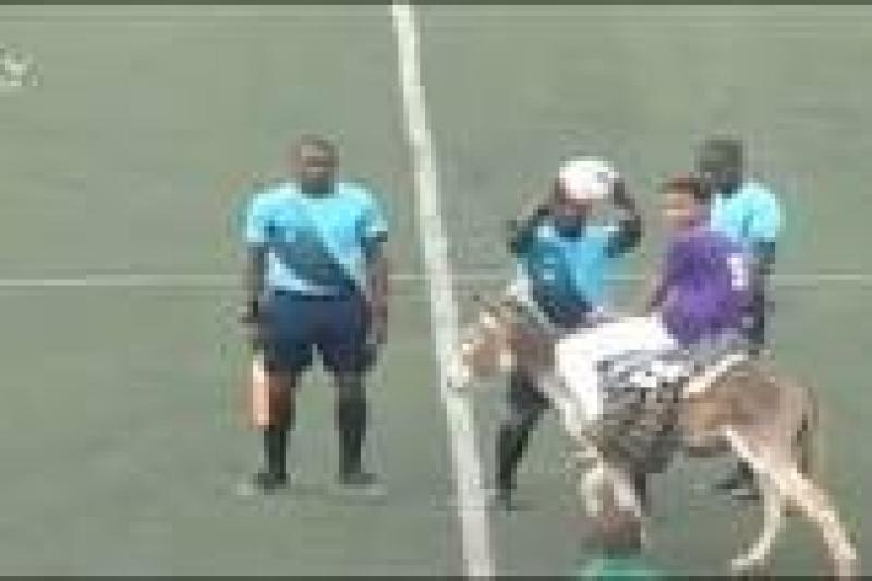 ظهور حمار بأحد ملاعب الكرة و السبب غير متوقع.. فيديو