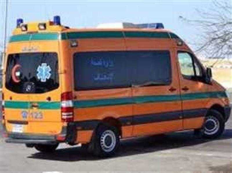 مصرع وإصابة 8 أشخاص في انقلاب ميكروباص بـ الدقهلية