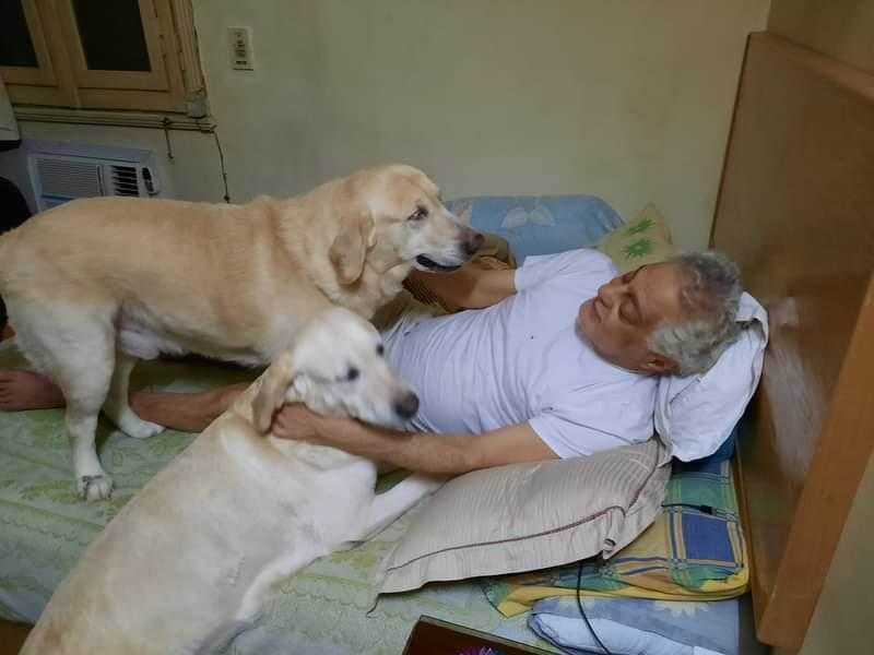 توفيق عبد الحميد: «كلابي هم من شاركوني الحياة في السنوات الأخيرة»