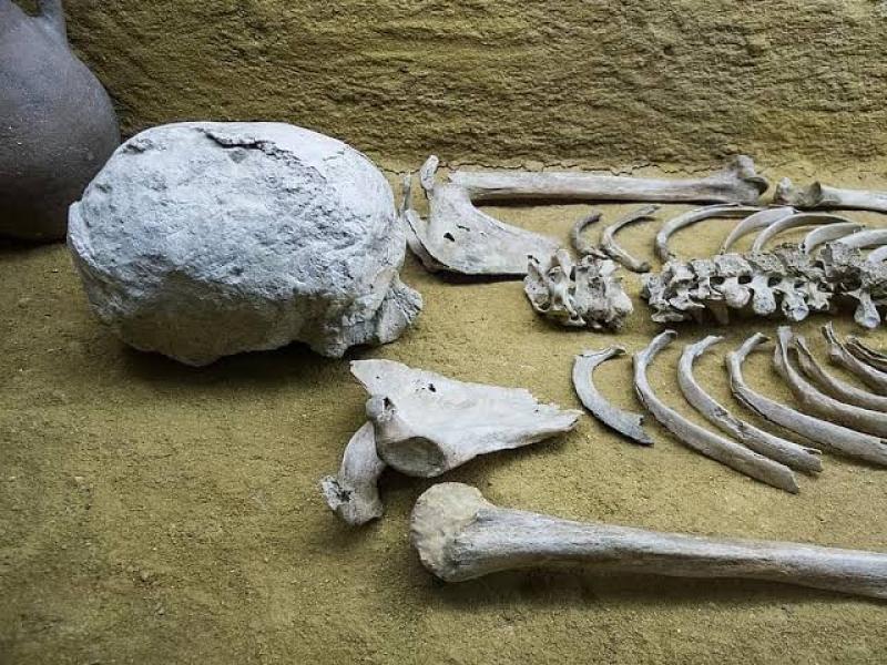 ما حكم بيع وشراء عظام الموتى؟