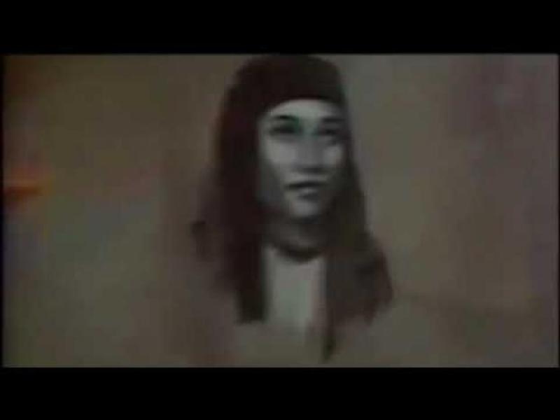 دولت فهمى