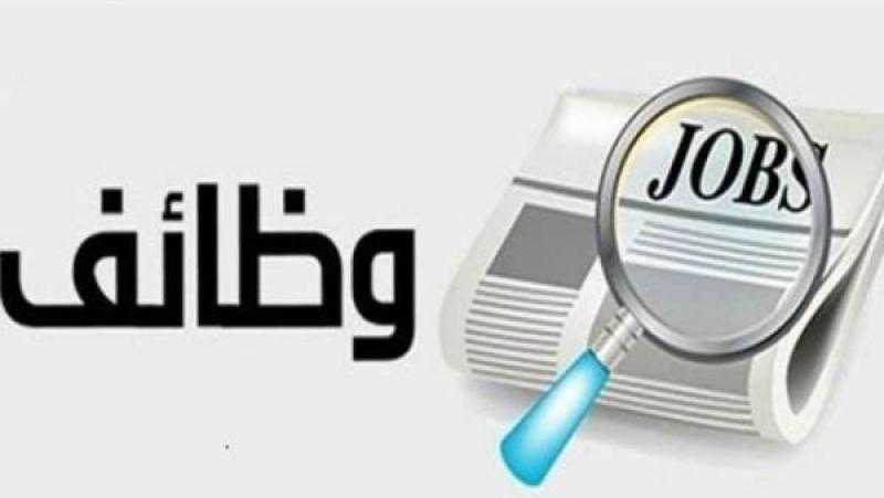 وظائف خالية للشباب في الخارج.. الشروط والتفاصيل وطرق التقديم
