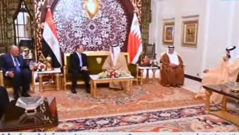 قمة ثنائية مصرية بقيادة السيسي والقادة العرب بجدة.. فيديو