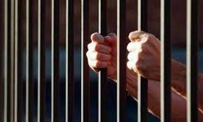 لخلاف على 750 جنيهًا.. المؤبد لـ مالك عقار قتل مستأجرا في الغربية