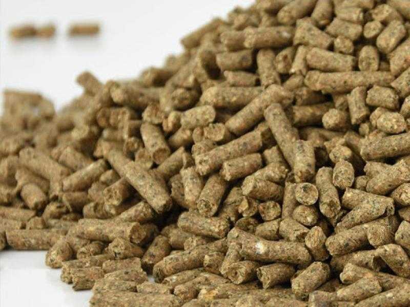 ضبط 39 طن مواد خام وأعلاف حيوانية مجهولة المصدر داخل مصنع بالمنوفية