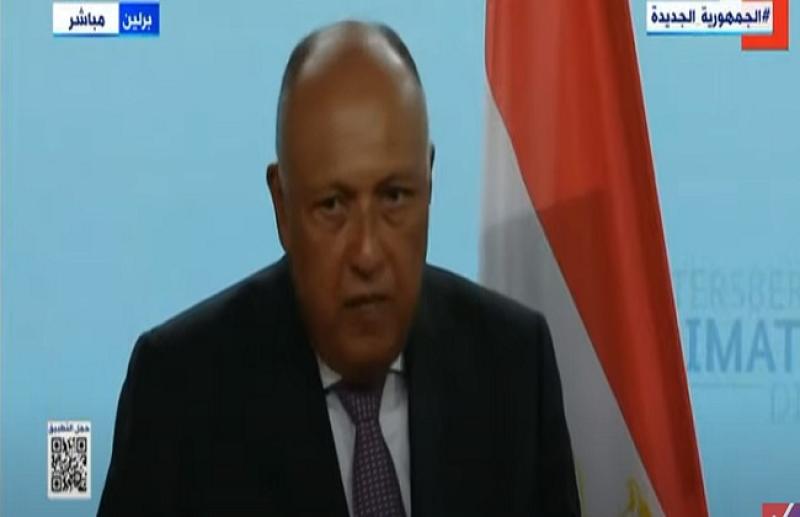 «علينا البدء فورًا».. شكري يدعو لسرعة تنفيذ إجراءات مواجهة التغيرات المناخية