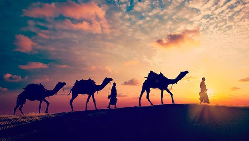 الهجرة تعبيرية