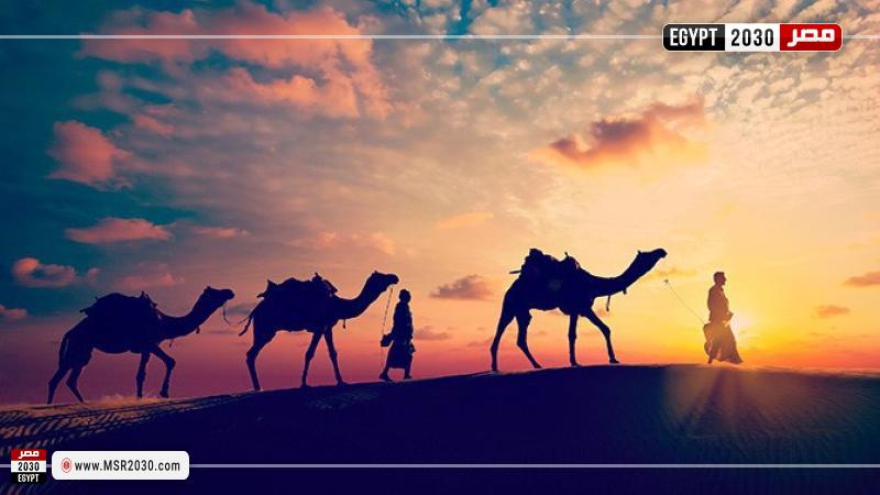 الهجرة تعبيرية