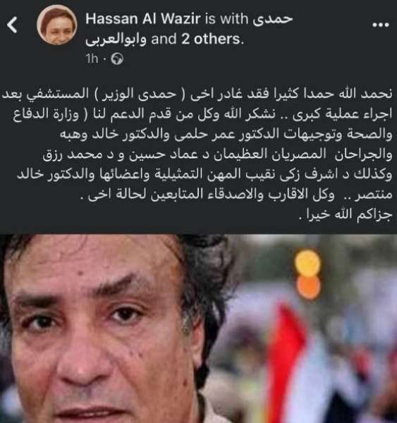 حمدى الوزير 