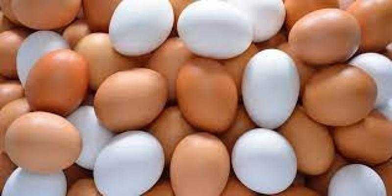بعد وصول كرتونة البيض لـ80 جنيهًا.. الغرف التجارية: زيادة غير مبررة