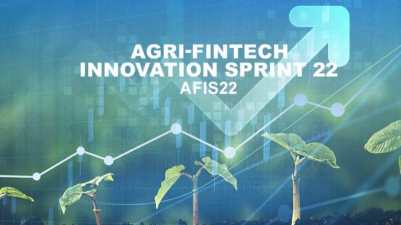 شركة FinTech Egypt