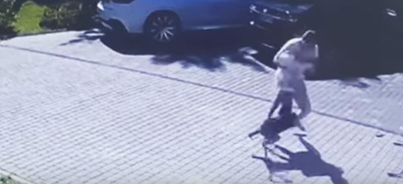 شاهد.. قرد يهاجم طفلة بوحشية ويعقرها بعد هروبه من حديقة بـ موسكو