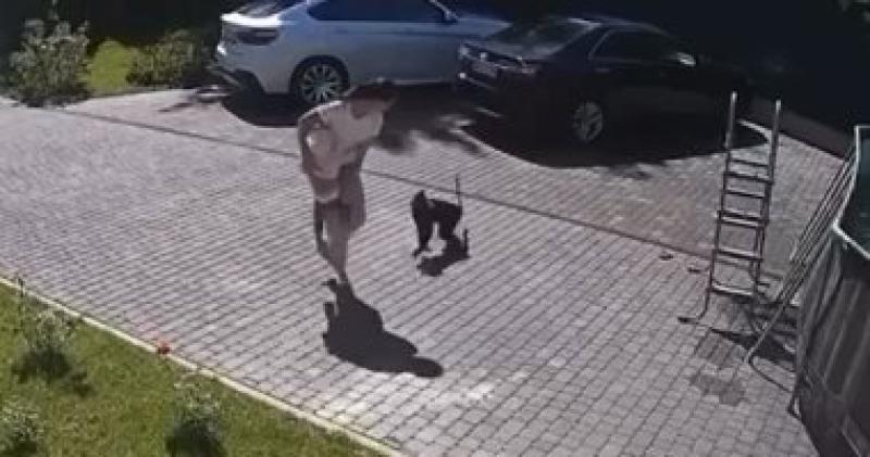 صورة من الواقعة