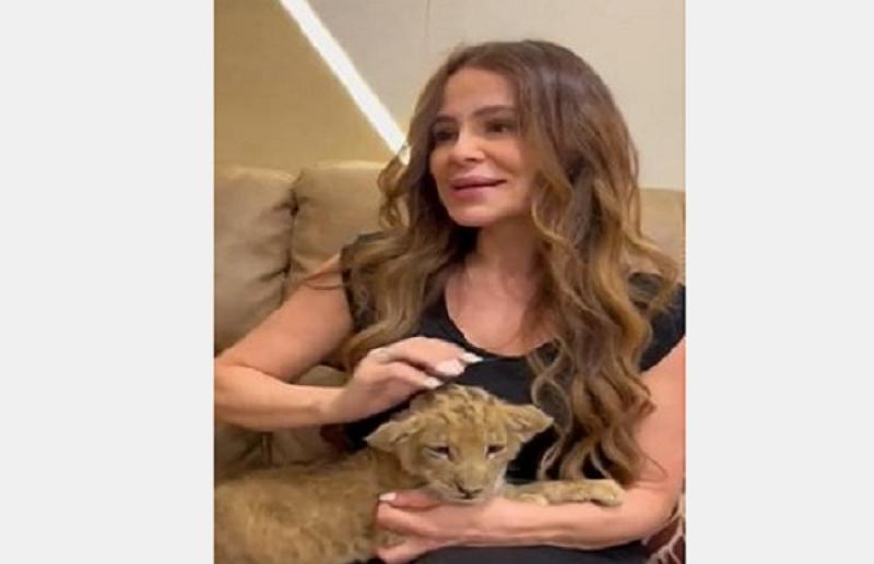 بعد صورتها مع أسد.. كارول سماحة معرضة للمسائلة القانونية - «فيديو»