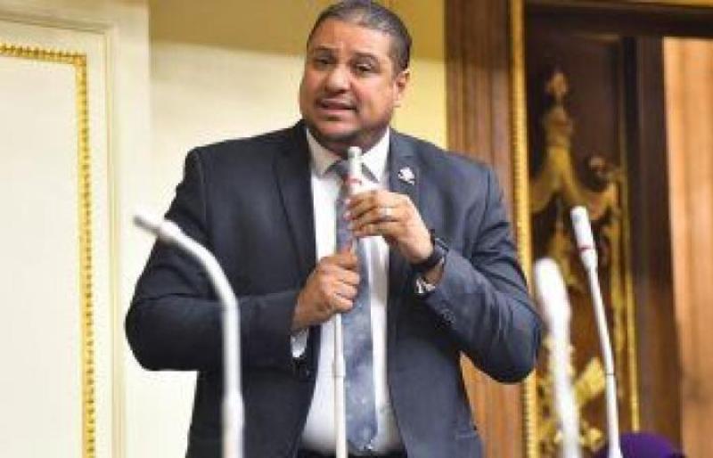 النائب محمد اسماعيل