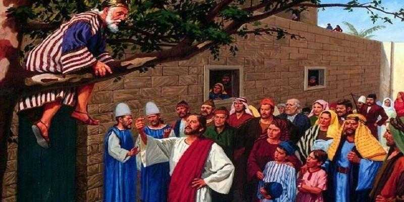 بهلول المجنون.. كيف نصح هارون الرشيد بفصاحة حكيم ولسان حصيف؟ «فيديو»