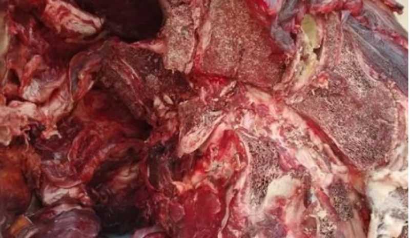 ضبط 146 كيلو لحوم ودواجن فاسدة وتحرير 3 محاضر لأصحابها بالغربية