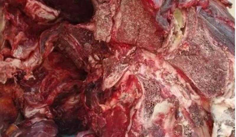 شرطة التموين تضبط 5 أطنان لحوم فاسدة في القاهرة