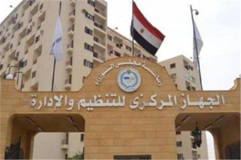 التنظيم والإدارة 