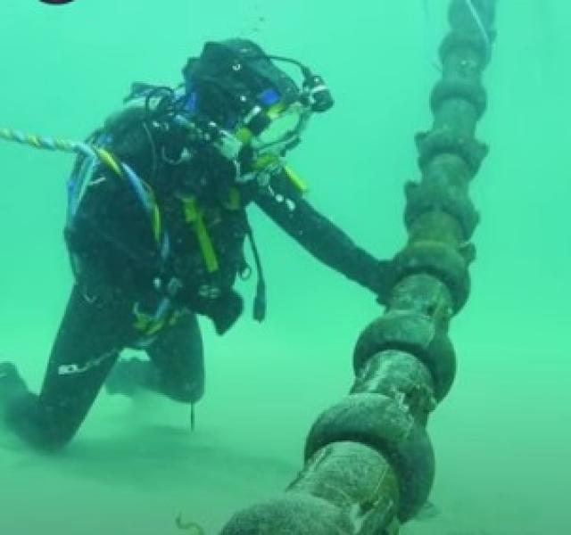 تهديدات بقطع الإنترنت عن العالم بعضة قرش واحدة «فيديو»