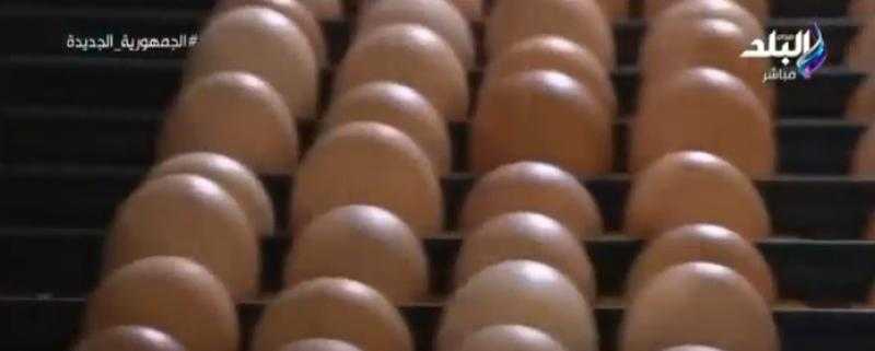 «الكرتونة بـ55 جنيها».. هل تسببت حملة «خليها تمشش» في خفض أسعار البيض؟