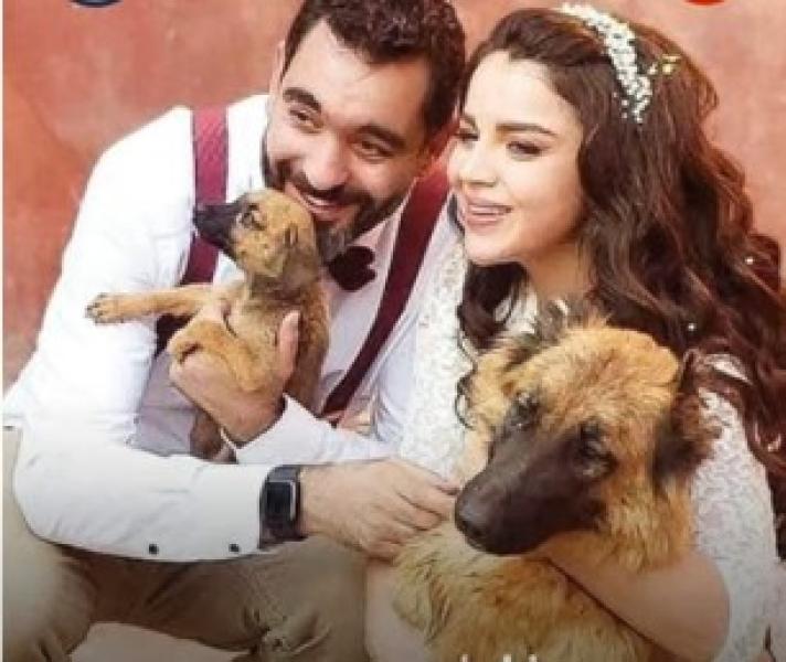 شاهد| فيديو يوثق مراسم زفاف في ملجأ كلاب.. لن تصدق السبب