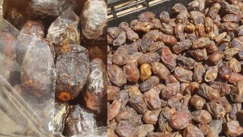 إحباط بيع 12 طنًا تمور فاسدة بمصنع  في المنوفية