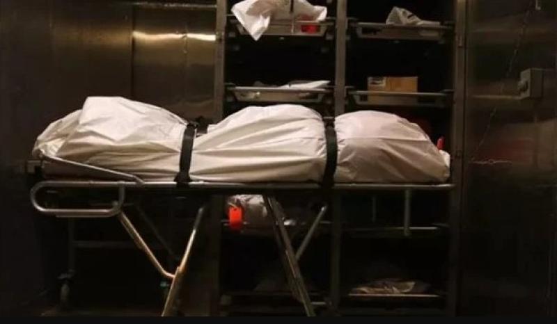 «جسده انشطر نصفين».. مصرع طالب في حادث سير على طريق الساحل