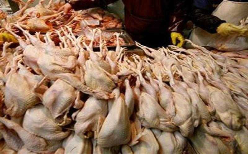 ضبط 3.4 طن دواجن غير صالحة للاستهلاك الآدمي في القاهرة