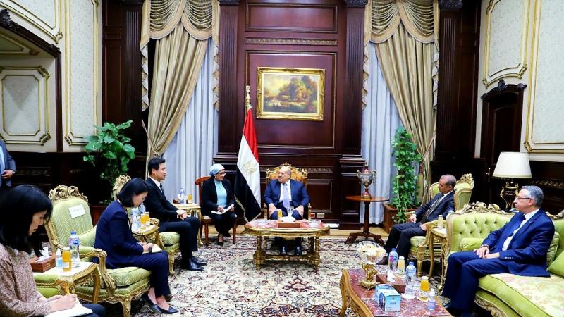  رئيس مجلس الشيوخ يلتقي سفير كوريا الجنوبية بالقاهرة