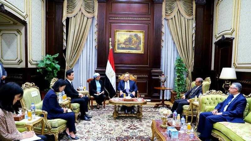 رئيس مجلس الشيوخ يلتقي سفير كوريا الجنوبية بالقاهرة