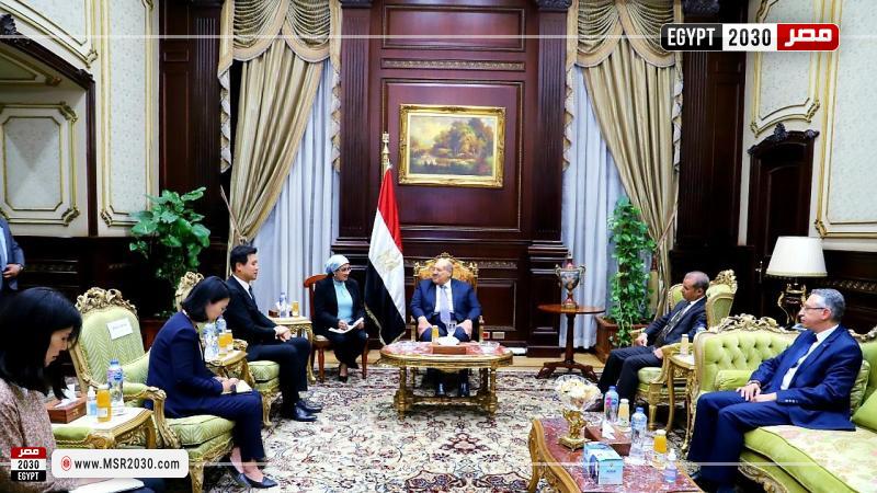 رئيس مجلس الشيوخ يلتقي سفير كوريا الجنوبية بالقاهرة