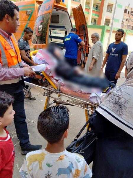 وزيرة التضامن توجه بإنقاذ مسنة بلا مأوى في القليوبية وتقديم الدعم لمواطن بالقاهرة