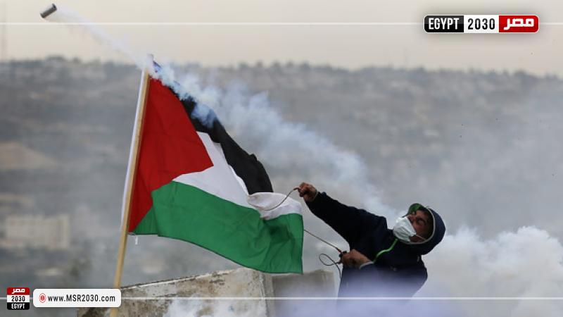 السيسي