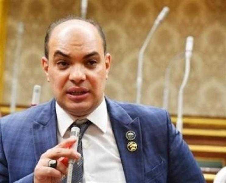 برلماني: مصر لعبت دورًا محوريًا لوقف إطلاق النار في غزة