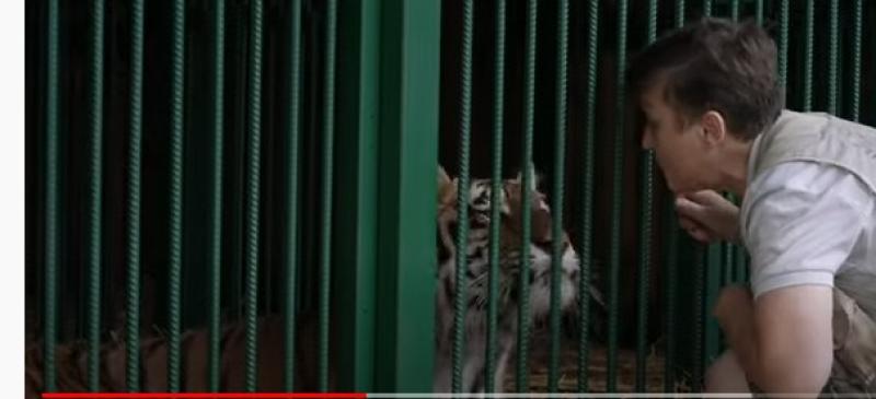 شاهد.. فيديو يوثق عمليات إنقاذ الحيوانات البرية من جحيم الحرب في أوكرانيا