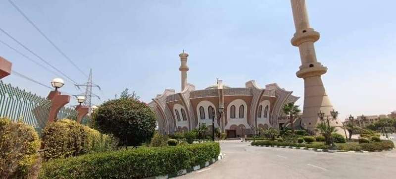 جنازة رجاء حسين 