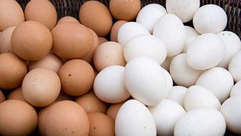 بشرى سارة من وزير التموين بشأن أسعار البيض «فيديو»