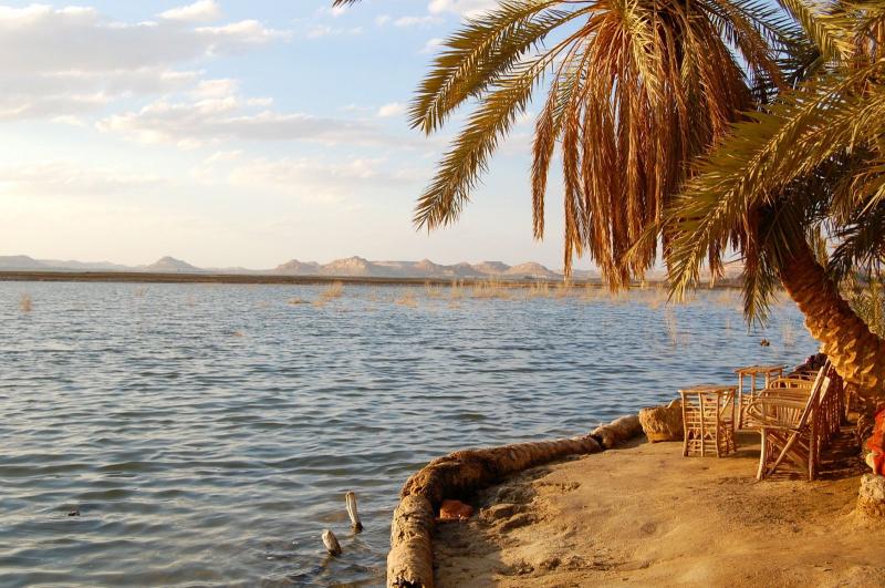 أرشيفية